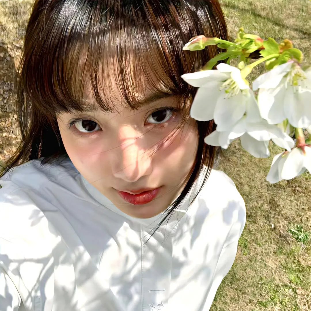 公鸡